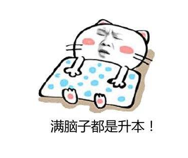 专升本湖北院校