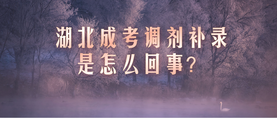 湖北成考调剂补录是怎么回事?