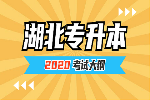 2020年湖北工程学院普通专升本《图形创意设计》考试大纲