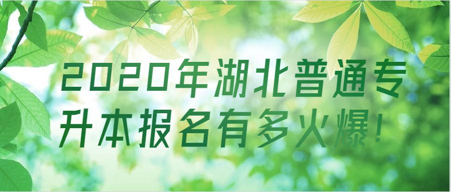 2020年湖北普通专升本报名有多火爆!