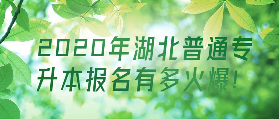 2020年湖北普通专升本报名有多火爆！