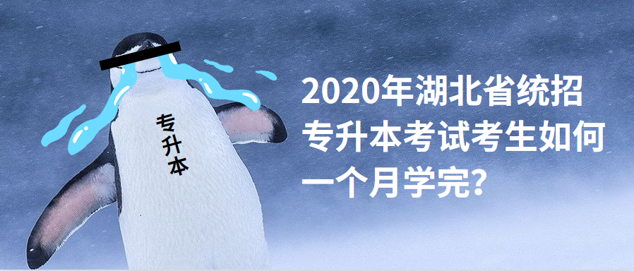 2020年湖北省统招专升本考试考生如何一个月学完？