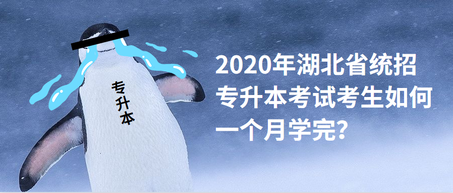2020年湖北省统招专升本考试考生如何一个月学完?