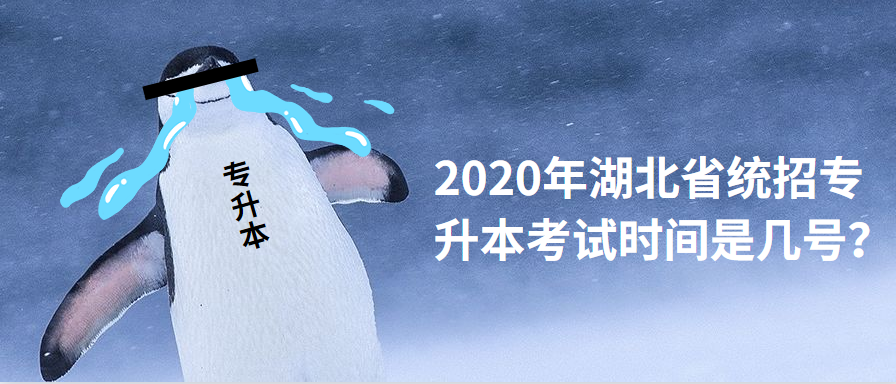 2020年湖北省统招专升本考试时间是几号?