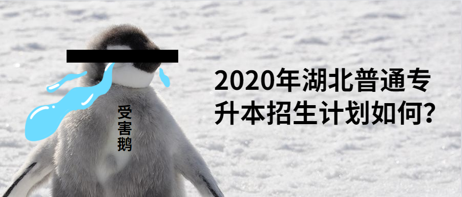 2020年湖北普通专升本招生计划如何?