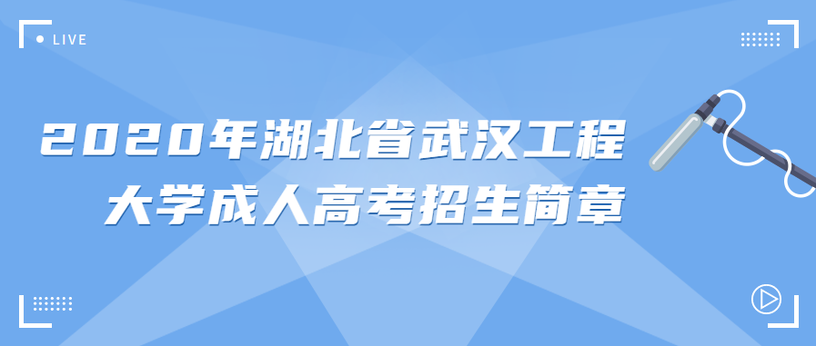 2020年湖北省武汉工程大学成人高考招生简章