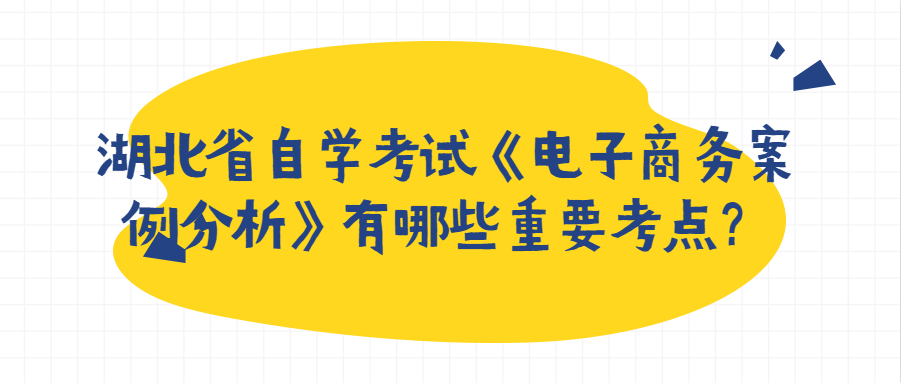 湖北省自学考试《电子商务案例分析》有哪些重要考点?
