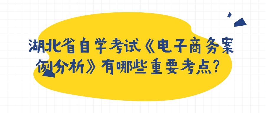 湖北省自学考试《电子商务案例分析》有哪些重要考点？