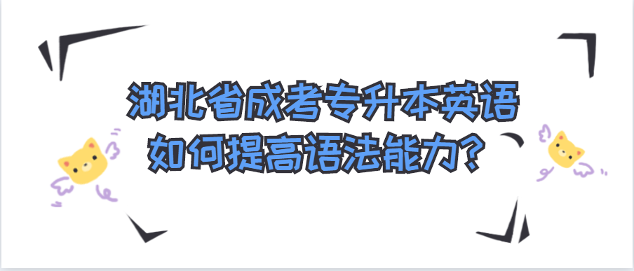 湖北省成考专升本英语如何提高语法能力？