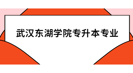 武汉东湖学院专升本专业.jpg