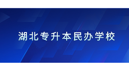 湖北专升本民办学校.jpg