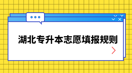 湖北专升本志愿填报规则.jpg