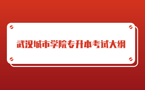 武汉城市学院专升本考试大纲.jpg