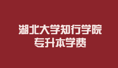 湖北大学知行学院专升本学费.jpg