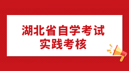 湖北省自学考试实践考核