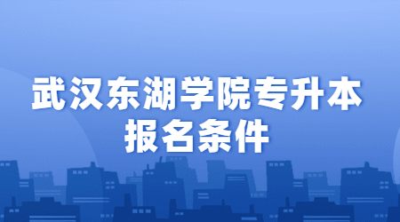 武汉东湖学院专升本报名条件