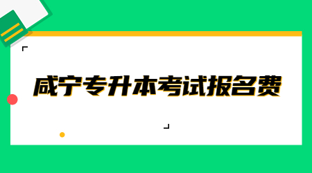 咸宁专升本考试报名费