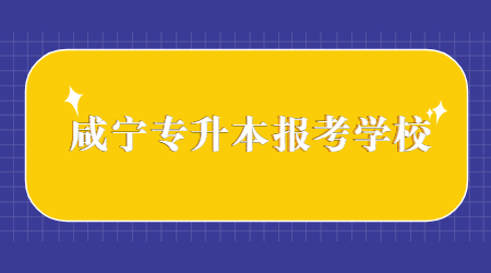 咸宁专升本报考学校