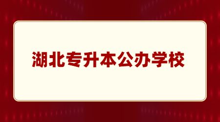 湖北专升本公办学校