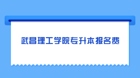 武昌理工学院专升本报名费