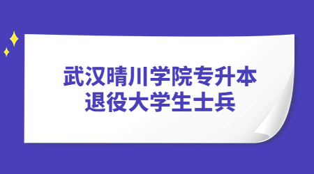 武汉晴川学院专升本退役大学生士兵