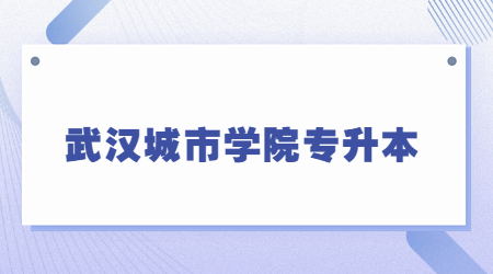 武汉城市学院专升本