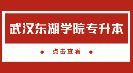 武汉东湖学院专升本招生专业