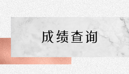 湖北文理学院专升本成绩查询