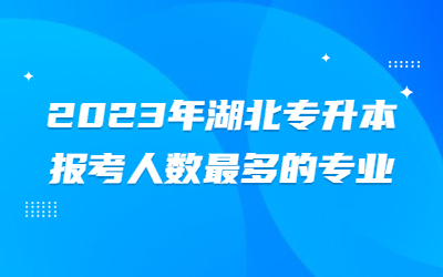 湖北专升本报考人数